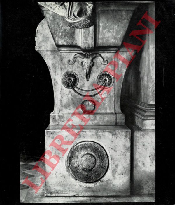 - - Michelangelo.