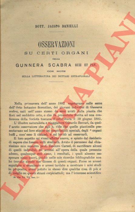 DANIELLI Jacopo - - Osservazioni su certi organi della Gunnera scabra Ruiz et Pav. Con note sulla letteratura dei nettari estraflorali.