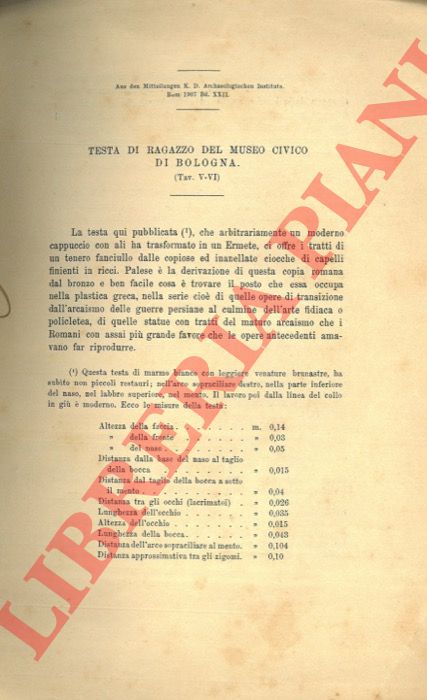 DUCATI Pericle - - Testa di ragazzo del Museo Civico di Bologna.