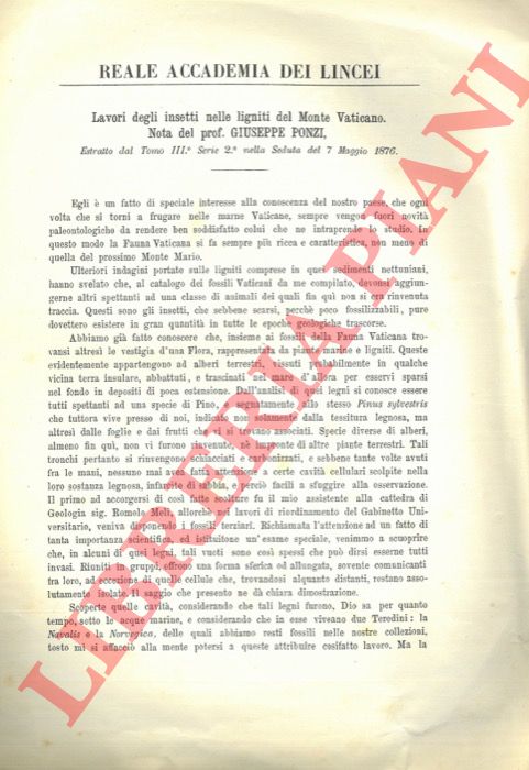 PONZI Giuseppe - - Lavori degli insetti nelle ligniti del Monte Vaticano.