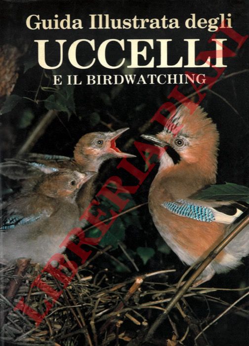 ARDLEY N. - - Guida illustrata degli uccelli e birdwatching.