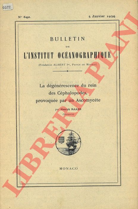 RAABE Henryk - - La dgnrescence du rein des Cphalopodes, provoque par un Ascomycte.