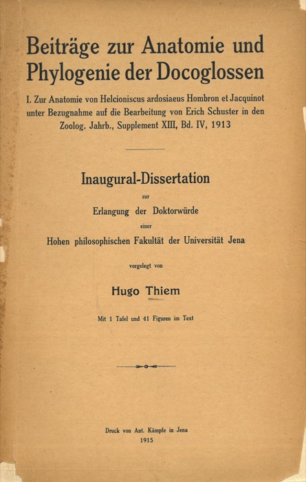 THIEM Hugo - - Beitrage zur Anatomie und Phylogenie der Docoglossen.