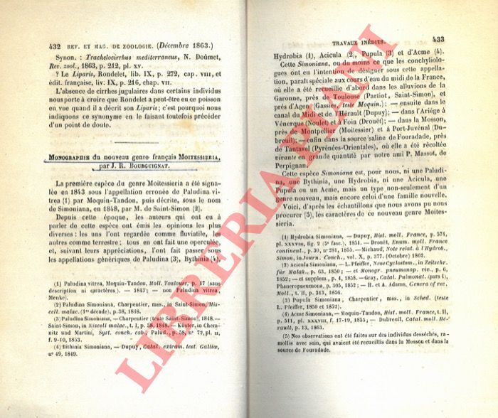BOURGUIGNAT J.R. - - Monographie du nouveau genre francais Moitessieria.