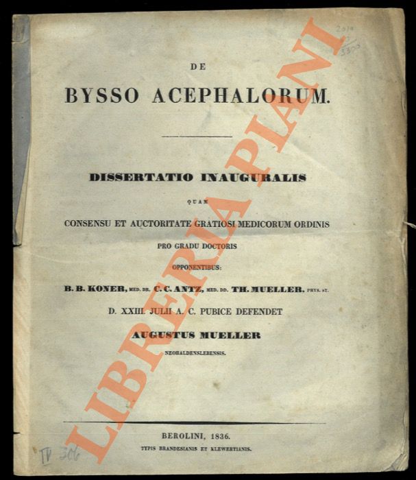 MUELLER Augustus - - De bysso acephalorum.