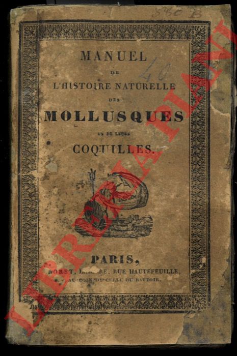 RANG Sander - - Manuel de l'histoire naturelle des mollusques et leurs coquilles, avant pour base de classification celle de M. le Baron Cuvier.