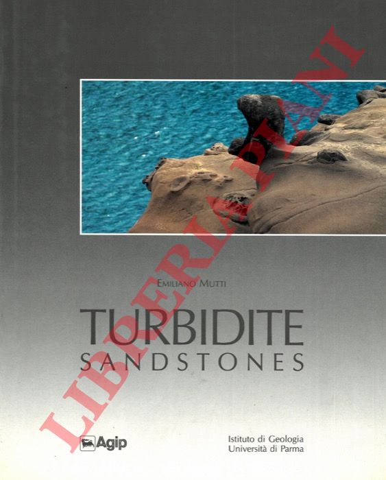 MUTTI Emiliano - - Turbidite Sandstones.