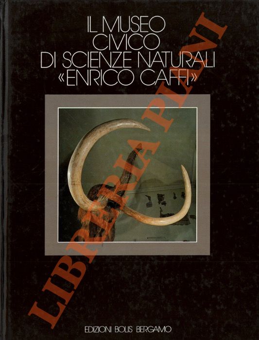 - - Il Museo Civico di Scienze Naturali 