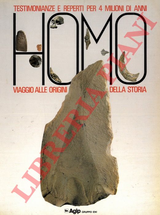 - - Homo. Viaggio alle origini della storia. Testimonianze e reperti per 4 milioni di anni.