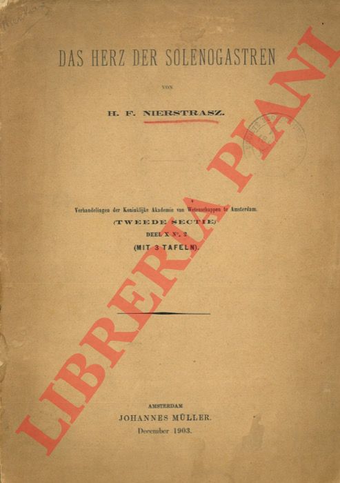 NIERSTRASZ H.F. - - Das Herz der Solenogastren.