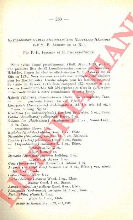 FISCHER P.H. - FISCHER-PIETTE E. - - Gastropodes marins recueillis aux Nouvelles-Hbrides par M. E. Aubert de la Rue.