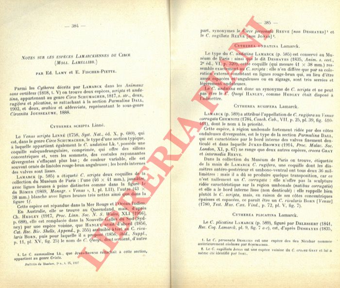 LAMY Ed. - FISCHER-PIETTE E. - - Notes sur les espces Lamarckiennes de Circe (Moll. Lamellibr.)