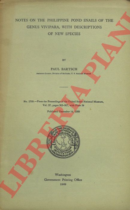 BARTSCH Paul - - Notes on the Philippine pond snails of the Genus Vivipara, with descriptions of new species.