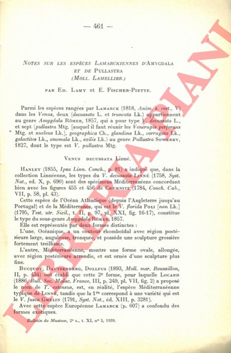 LAMY Ed. - FISCHER-PIETTE E. - - Notes sur les espces Lamarckiennes d'Amygdala et de Pullastra. (Moll. Lamellibr.)