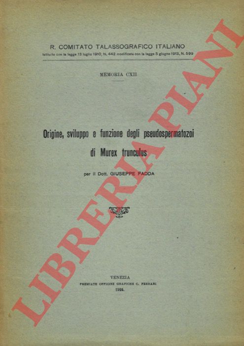 FADDA Giuseppe - - Origine, sviluppo e funzione degli pseudospermatozoi di Murex trunculus.