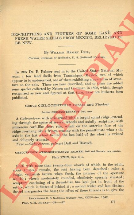 DALL William Healey - - Descriptions and figures of some land and fresh-water shells from Mexico, believed to be new.