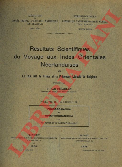 ADAM W. - LELOUP E. - - Prosobranchia et Opisthobranchia. - 