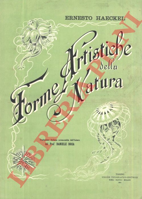 HAECKEL Ernesto - - Forme artistiche della natura.