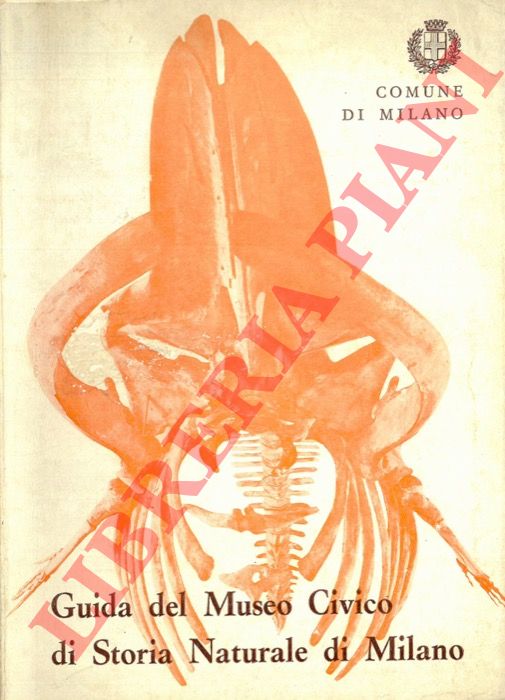 (CONCI Cesare) - - Guida del Museo Civico di Storia Naturale di Milano. VI edizione.