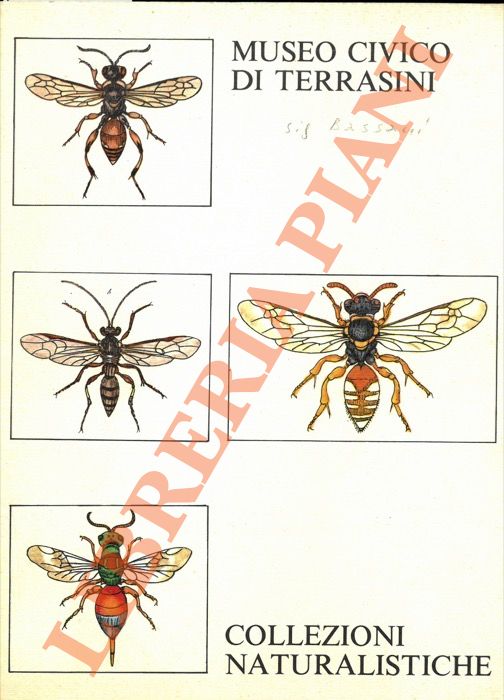 (ORLANDO Vittorio Emanuele) - - Museo Civico di Terrasini. Sezione Naturalistica.