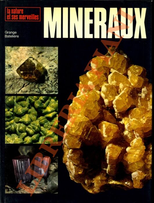 DE MICHELE Vincenzo - - Les minraux.