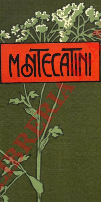 - - Montecatini. Alcune istruzioni elementari per chi fa la cura delle acque.