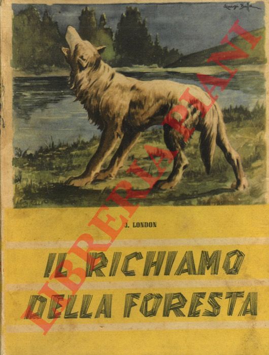 LONDON Jack - - Il richiamo della foresta.