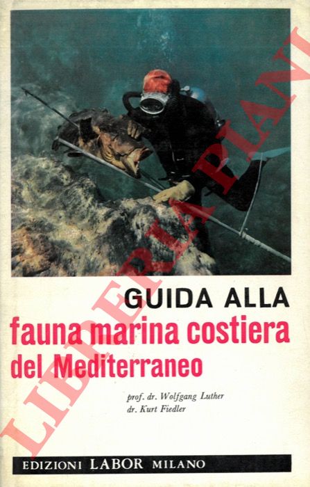 LUTHER Wolfgang - FIEDLER Kurt - - Guida della fauna marina costiera del Mediterraneo. Atlante illustrato a colori.
