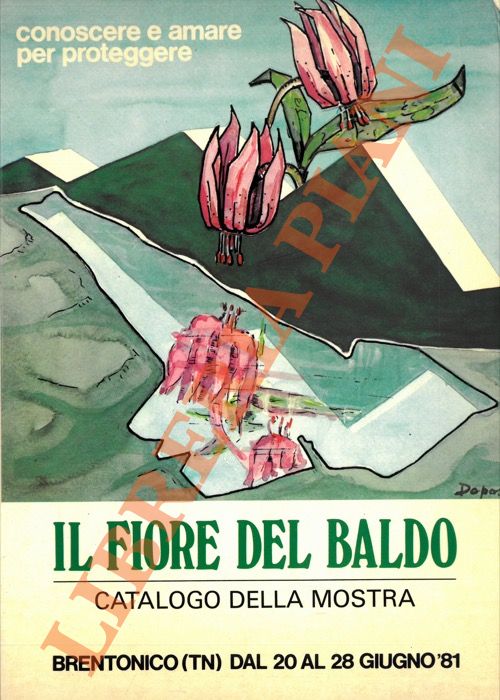 (OTTAVIANI Franco) - - Il fiore del Baldo. Catalogo della mostra.