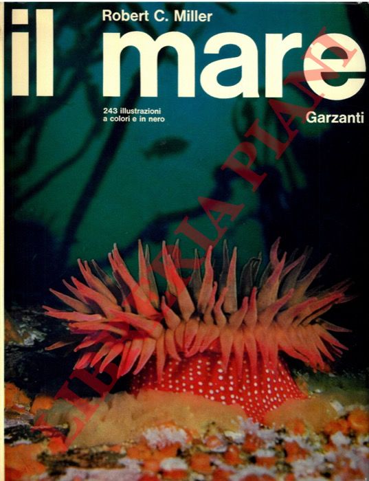 MILLER Robert C. - - Il mare.