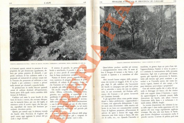 INGHILLERI C. - - Problemi forestali in provincia di Cagliari. Distruzione dei boschi e loro ricostituzione.
