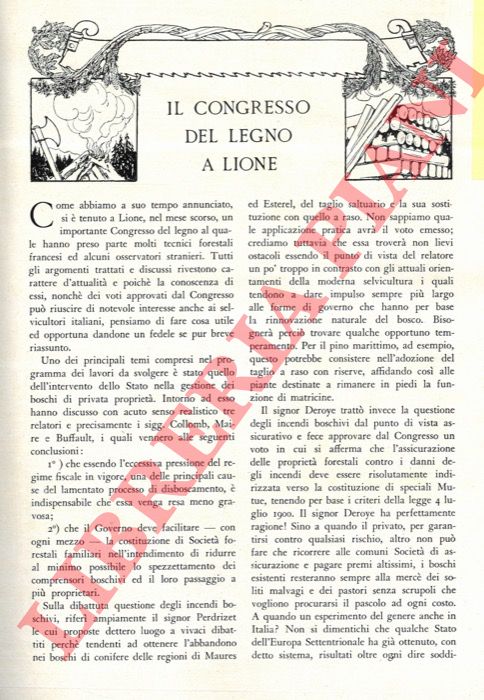 Standard - - Il Congresso del legno a Lione.