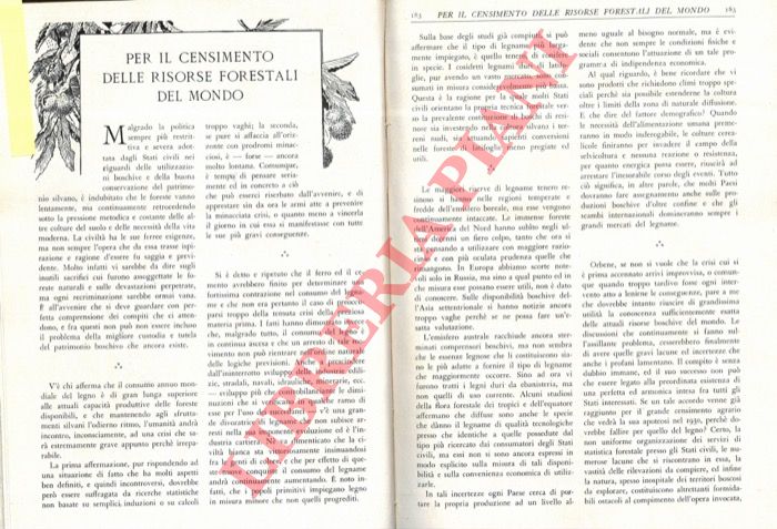 MERENDI A. - - Per il censimento delle risorse forestali del mondo.