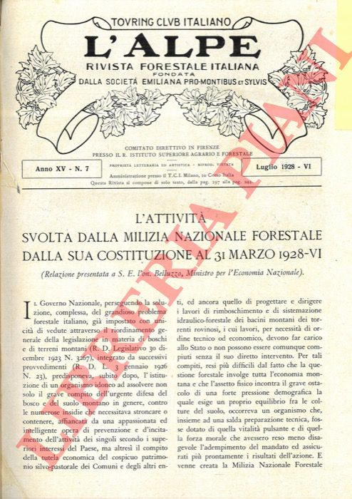 AGOSTINI A. - - L'attivit svolta dalla Milizia Nazionale Forestale dalla sua costituzione al 31 marzo 1928-VI.