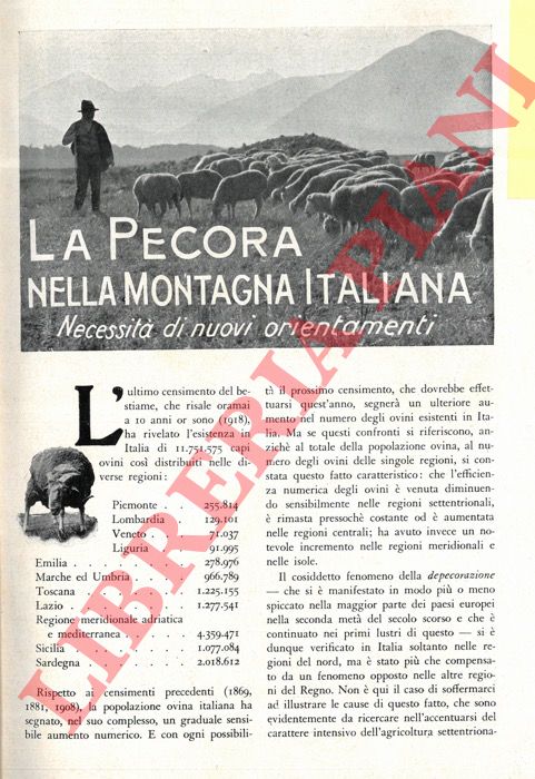 GIULIANI R. - - La pecora nella montagna italiana. Necessit di nuovi orientamenti.