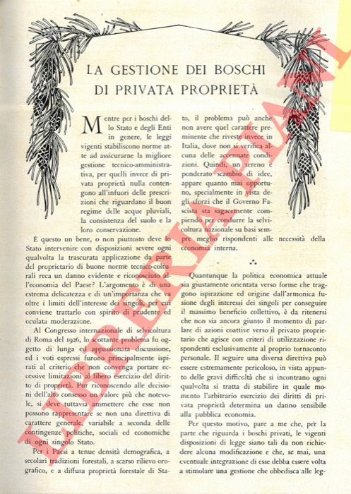 MERENDI A. - - La gestione dei boschi di privata propriet.