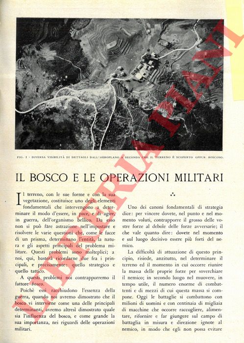 TREZZANI C. - - Il bosco e le operazioni militari.