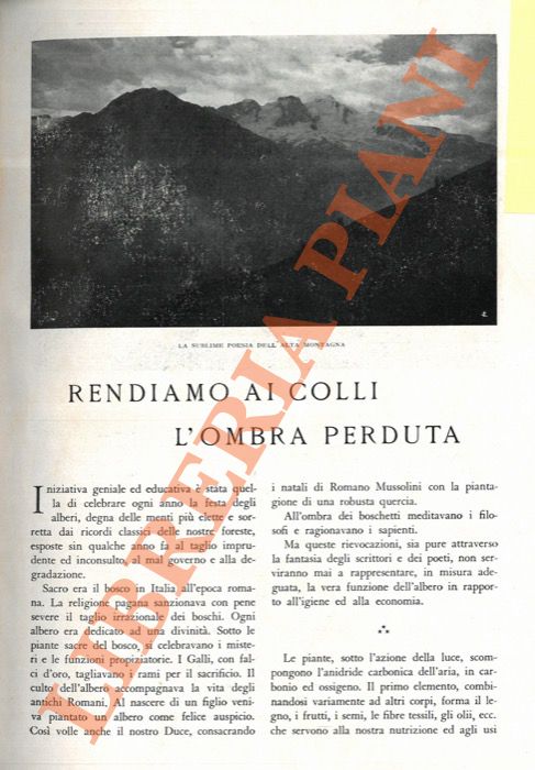 DIVISI Fernando - - Rendiamo ai colli l'ombra perduta.