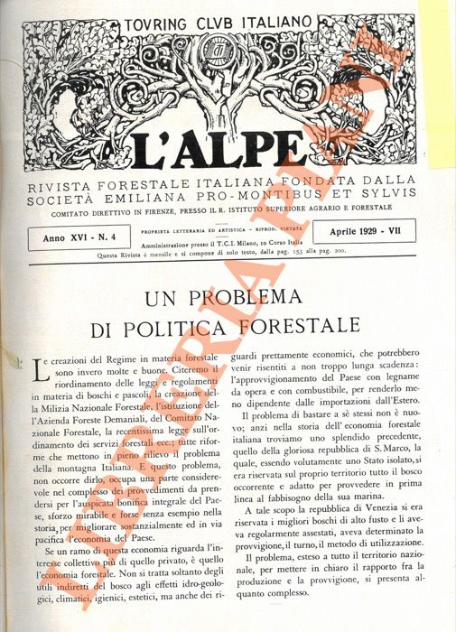 HOFMANN Amerigo - - Un problema di politica forestale.