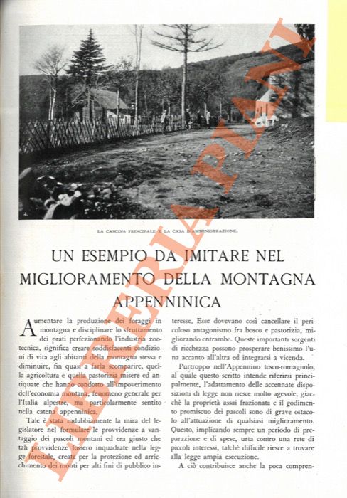 PANATTONI Gino - - Un esempio da imitare nel miglioramento della montagna appenninica.