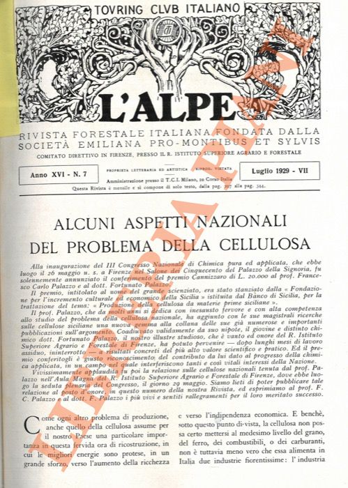 PALAZZO Francesco Carlo - - Alcuni aspetti nazionali del problema della cellulosa.