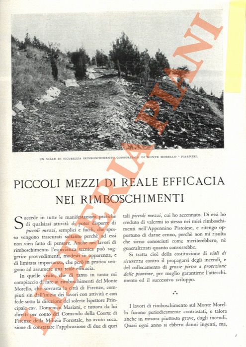 D'ANCONA Giuseppe - - Piccoli mezzi di reale efficacia nei rimboschimenti.