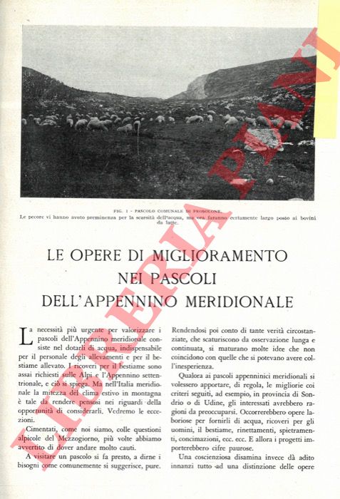 PALLOTTA Francesco - - Le opere di miglioramento nei pascoli dell'Appennino meridionale.