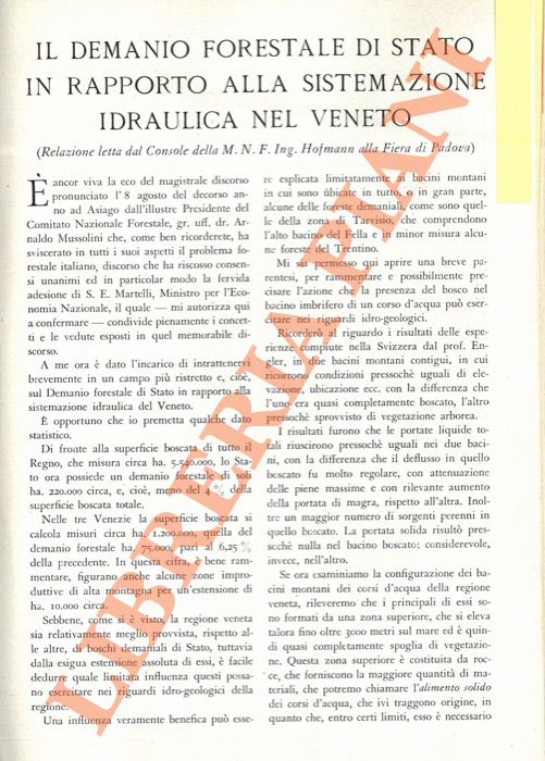 HOFMANN A. - - Il Demanio Forestale di Stato in rapporto alla sistemazione idraulica nel Veneto.