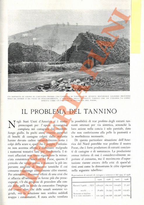 A.M. - - Il problema del tannino.