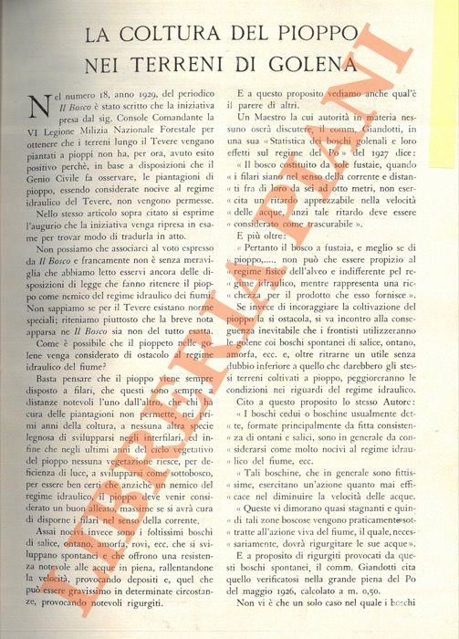 EMILIANI Luigi - - La cultura del pioppo nei terreni di golena.