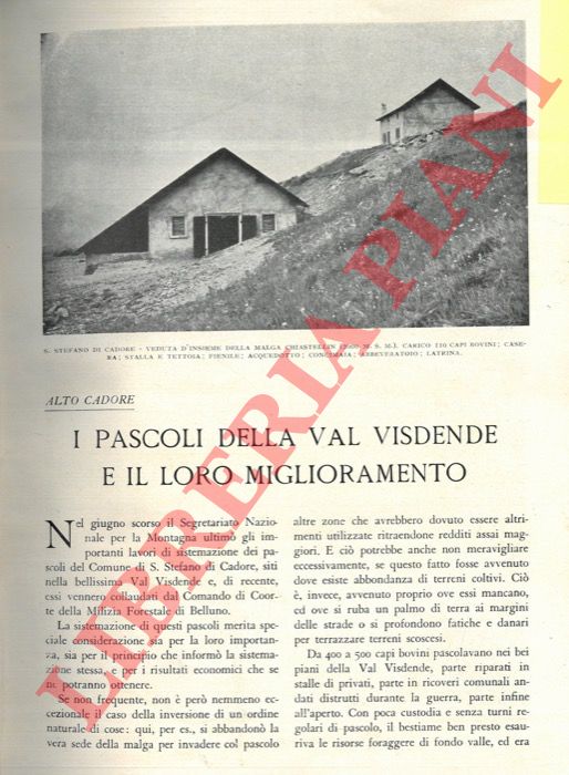 MATTEI Tito - - I pascoli della Val Visdende e il loro miglioramento.