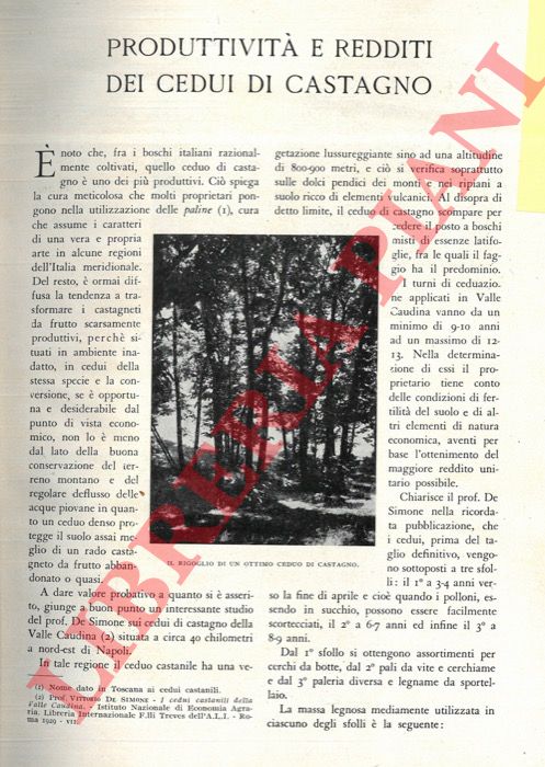 A.M. - - Produttivit e redditi dei cedui di castagno.