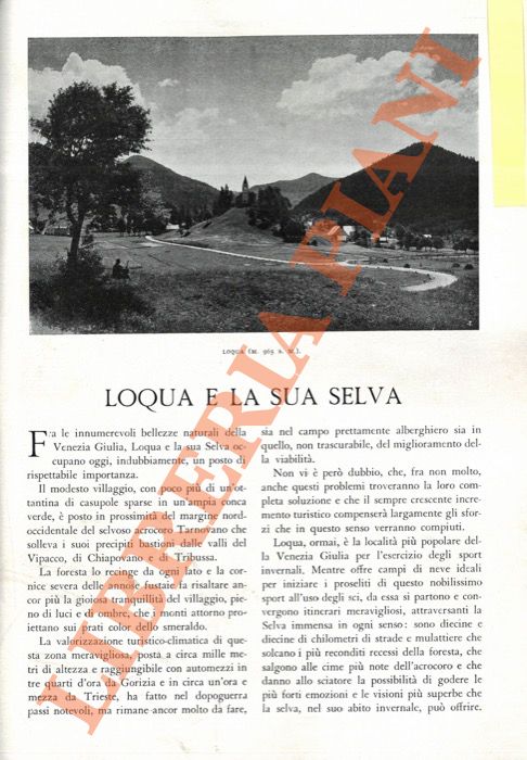 CRIVELLARI Dino - - Loqua e la sua selva.