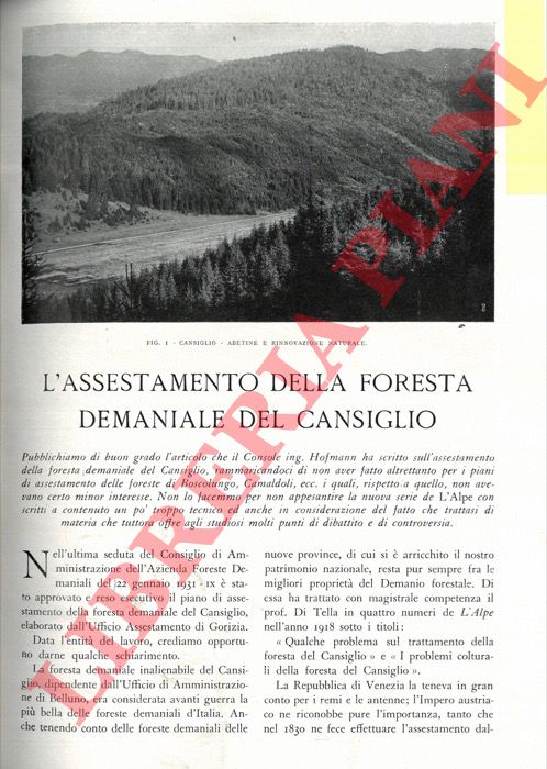 HOFMANN Amerigo - - L'assestamento della Foresta Demaniale del Cansiglio.